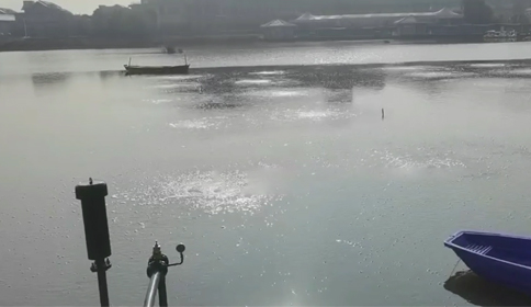 丝瓜视频黄色网站沉水丝瓜视频免费下载杭州萧山区某河道生态治理